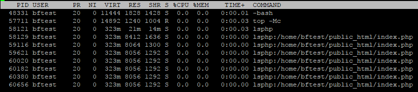 Look at those processes!